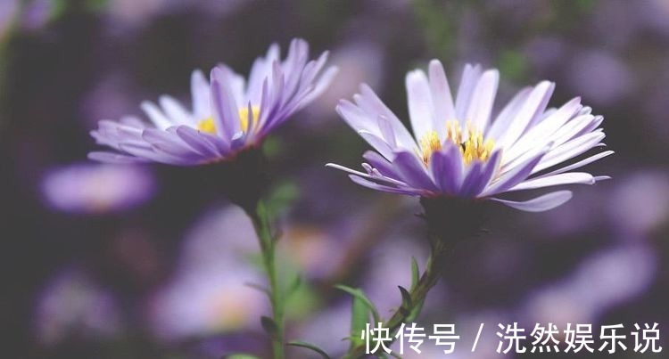 生肖女|“命中藏金”的生肖女,天生的乐天派,终生不会为钱财烦恼