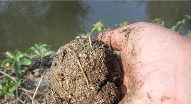 钓鱼中的“独家秘方”,只有民间野钓高手才懂,上鱼多是有原因的