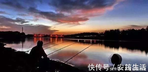 颗粒料|夜钓鲤鱼，这些注意事项能到位，想要空竿都难