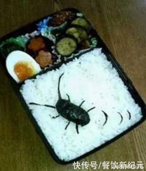 夫妇|日本夫妇吵架后，妻子怒做“复仇便当”，看这菜品就知道有多生气