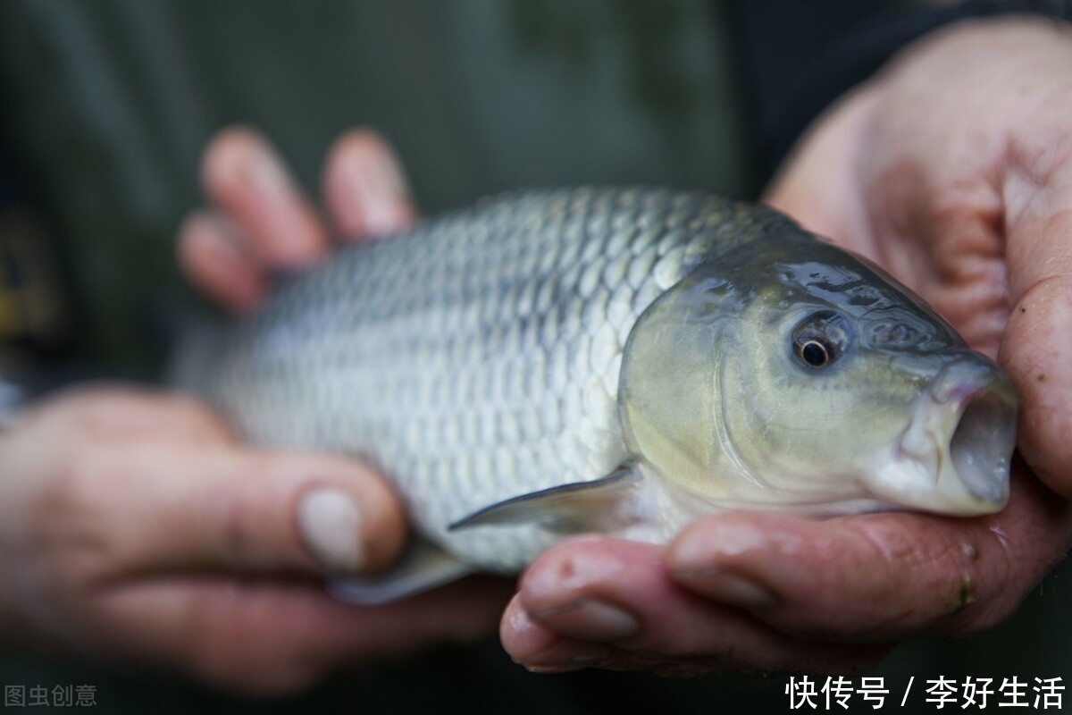 深水区的鱼儿不开口记住这3招，让鱼口起死回生