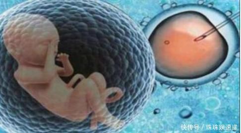 妈妈|孕早期,胎儿3个月都在忙些什么?看完心都被他萌酥了