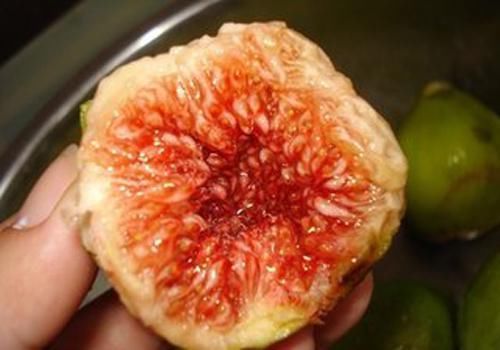 零食|40后的女人不要舍不吃,5种食物当“零食”吃,补充雌激素抗衰老