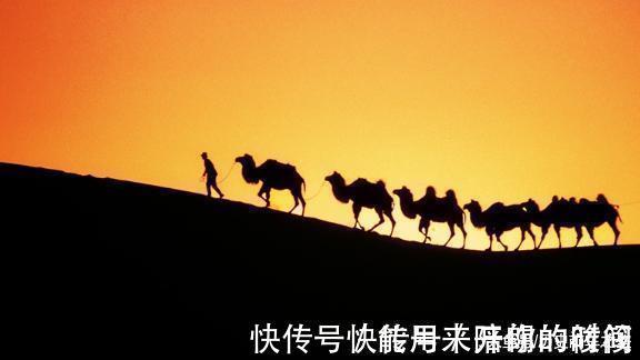 男人|俗语“男人行千里,切莫吃枸杞”,什么意思年轻夫妻应该看看