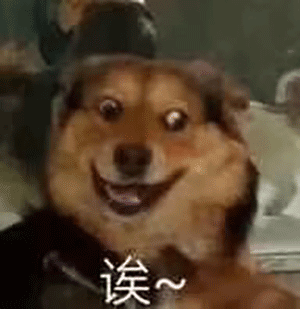 阴间|“千万!不要!随便在淘宝乱搜索啊!”哈哈哈沙雕卖家想笑死我……