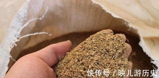 鲤鱼|伏天一热，我就只想用这鲤鱼饵，十用九灵，试过的人都拍案叫绝