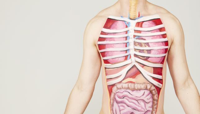 想延缓衰老,从呼吸开始:跟着这样做,让内脏“动”起来