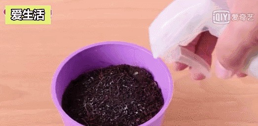 在垃圾桶里装满泥土,摆在阳台上有妙用,一年能帮你省下不少钱
