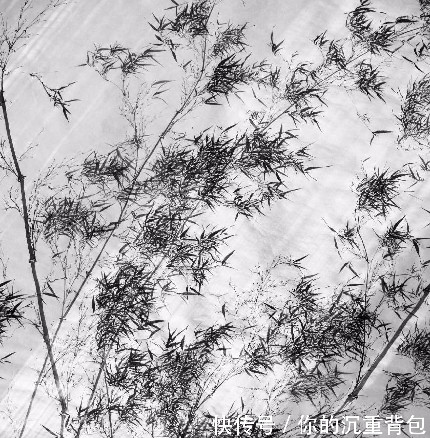 冷军的油画竹子和90后大叔池静山笔下的墨竹,你更喜欢哪个呢