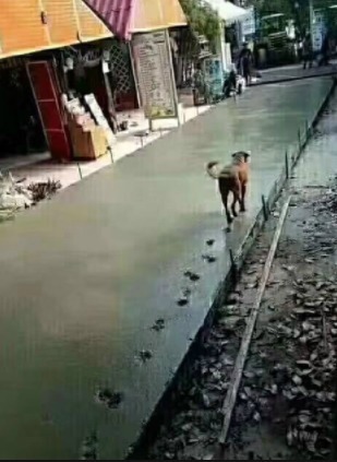 |搞笑GIF趣图:妹子,你就穿成这样躺着玩手机,心机够深的啊