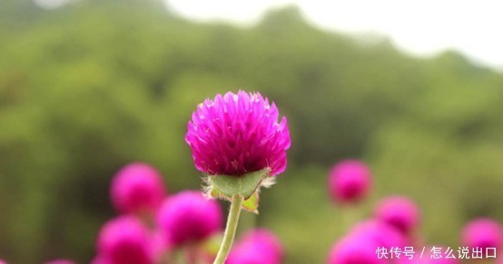 赚钱|有钱存不住的4大生肖,挥霍一生,有钱就任性,却往往幸福一生