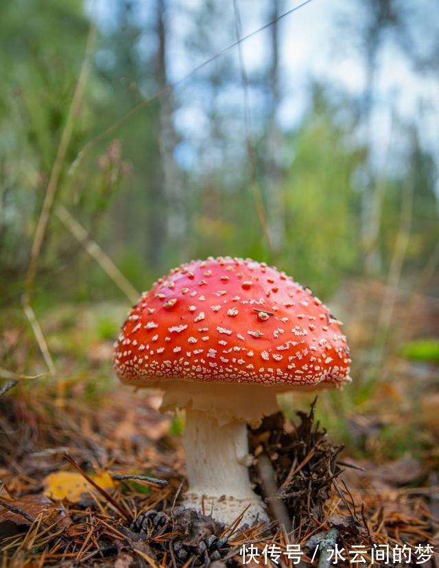 天秤座|8月中下旬，财神指路，大财不断，小财不停