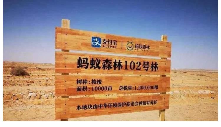 王刚|新年伊始，科学家离职，又领50万罚单，阿里巴巴到底怎么了？