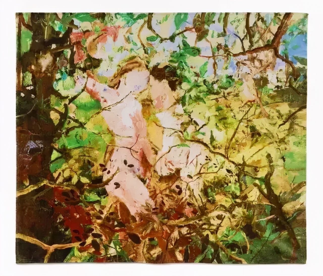 抽象表现主义!塞西莉·布朗 | 一位女性主义者的理性与迷狂