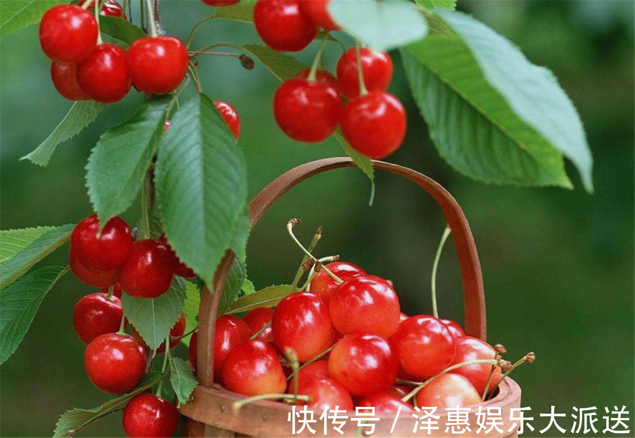 血液循環|秋季養生正當時，三種食物不能少，養心安神，改善血液循環