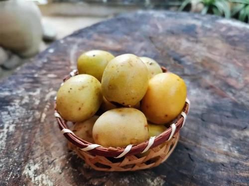 记忆|儿时的记忆就在这酸酸甜甜中唤醒