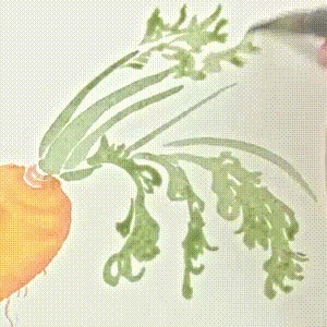 示范&用没骨技法画胡萝卜和鸢尾花,这样的示范案例领你入门