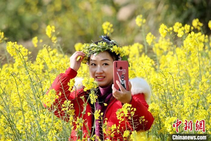 民众|广西山区万亩油菜花盛开迎客来