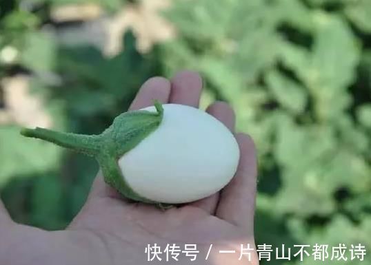 奶奶在花盆里种“鸡蛋、香蕉”,种一次能吃5个月,邻居都来学习