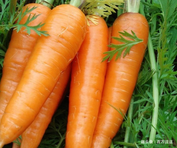 鸭梨|子宫不好别怕，大胆吃4物，暖宫补宫、养宫，子宫光滑又年轻！