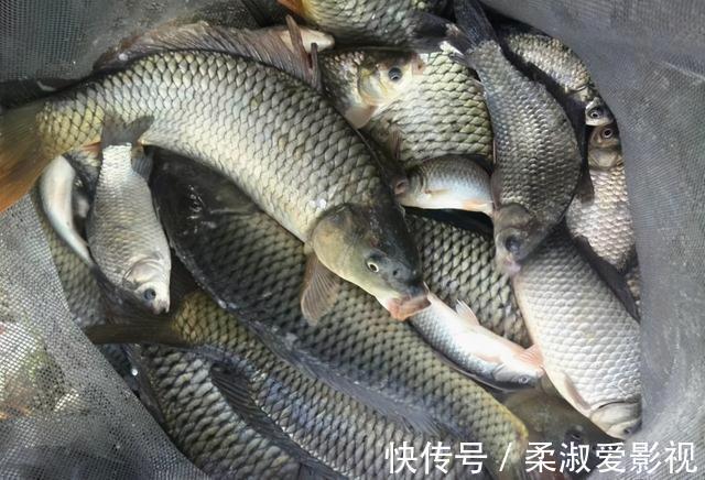 钓鱼时的6大“黄金钓位”,图都给你画好了,下次遇到了别错过