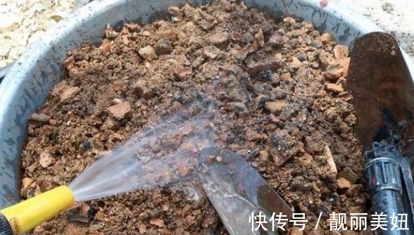 盆栽|盆栽多肉不想土结块就用这“渣”作弊，方便储存空气、排泄积水