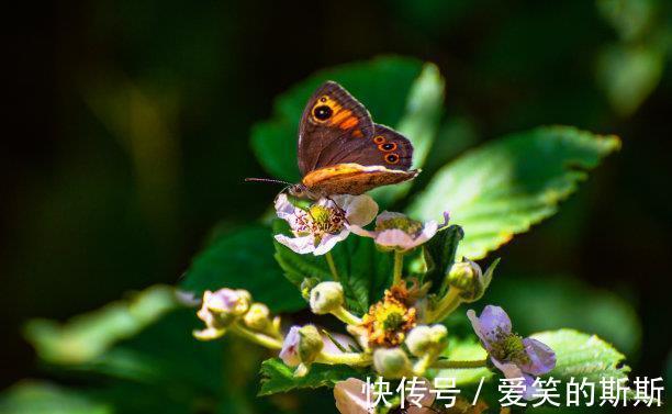 你的生活|近期内,土星逆行,恍如初见,爱情已逝去,牵手复合,再创新辉煌