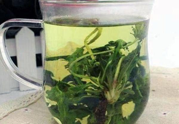 蔓越莓|提醒：胃不舒服的人，常用“一物”泡水喝，有助于抑菌，养胃护胃