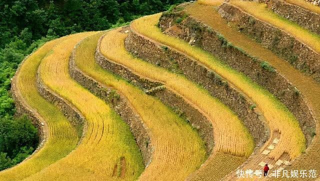 老年|微视河南,河南的那些梯田风光,分分钟把你迷倒