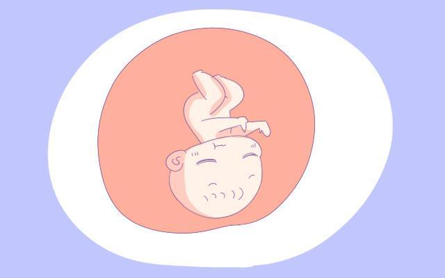 胎儿|怀孕的时候,孕肚“一直跳动”是何原因可不是胎动哦