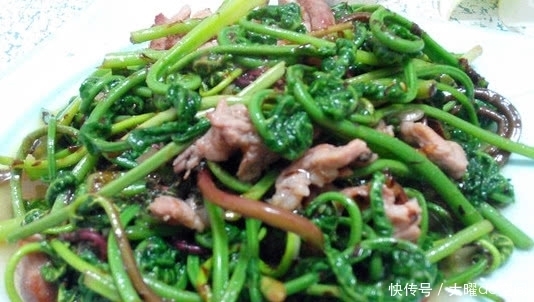 这种植物被称“野菜王”,比人参营养高,1斤卖50元,你吃过没