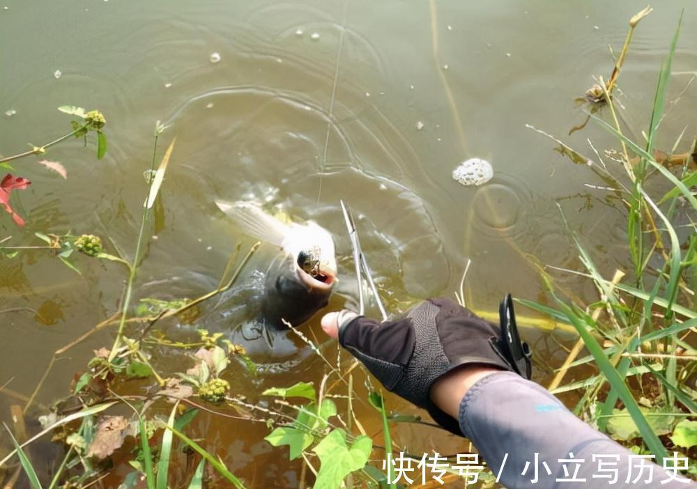 别埋怨自己钓不到鱼了,学会这三个技巧,提高渔获不再难
