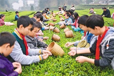 胃痛|宝宝一岁抓周，看到结果，在场的人笑到胃痛