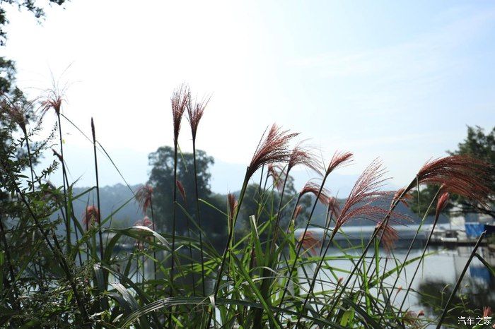 奶爸|准奶爸的座驾福克斯ST-line，颜值与性能齐飞