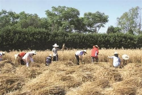 下学期，萧山中小学将全面开设这门必修课|关注 | a802