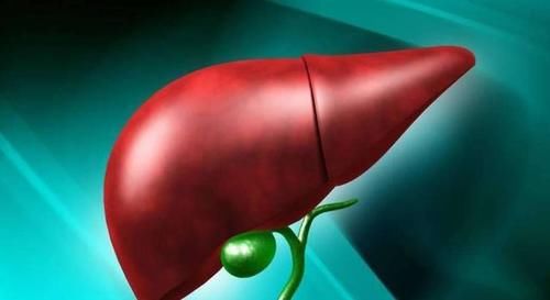 肝脏|98岁老人养肝经验：2种“发物”少碰，坚持两种好习惯，了解一下