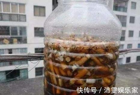 养花人都知道的“5个偏方”,3分钟学会,一生受用,养啥都旺盛