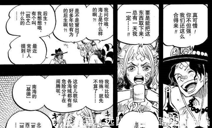 喬伊波伊|從海賊王1016話漫畫看看大和追求的自由和性取向