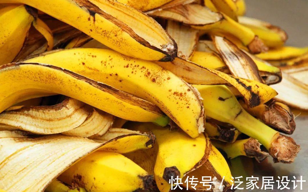 叶子|香蕉皮,天然钾肥,用对方法养花,有营养、能驱虫、清洁叶子