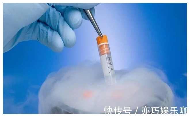 国内的试管三代水平高吗（为何很多女性害怕做“试管婴儿”？三个步骤都很痛苦，别羞于了解）