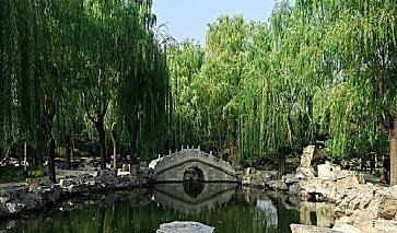 虞美人!李煜暮年的一首词,笔触细致,读完令人心碎