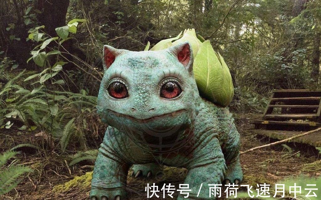 胖丁|精灵宝可梦“真人版”,妙蛙种子神似“蒜头”,还是喷火龙最霸气