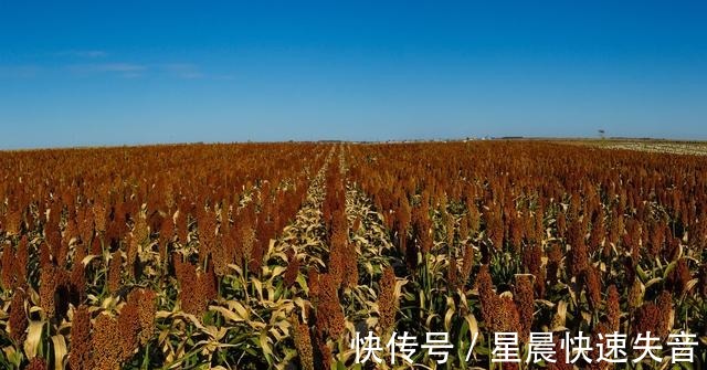 秋夜!七律.秋夜深深墨染空!