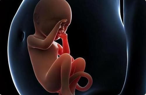肚子|胎儿也有“作息时间”，在宝宝睡觉时，准妈妈们尽量别打扰他们