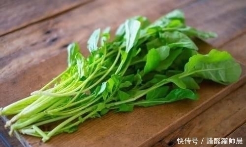 宝贝|很多人只吃种子，实际上叶子才是宝贝，现如今20元1斤供不应求