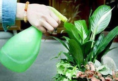 这“2种”药片,比生根水、蚯蚓粪厉害多了,养啥花都能“爆”!