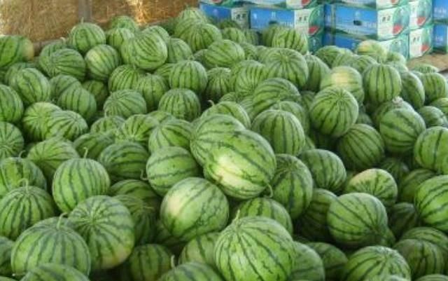 尿酸高的人,生活中盡量多吃4種食物,或助你排出尿酸