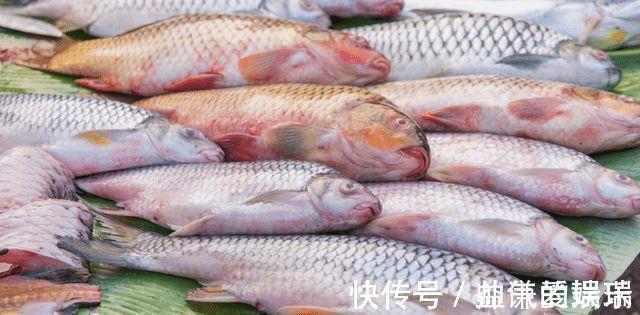 记忆力|这4种鱼平时尽量少吃,或携带甲醛和重金属,看看你吃过吗