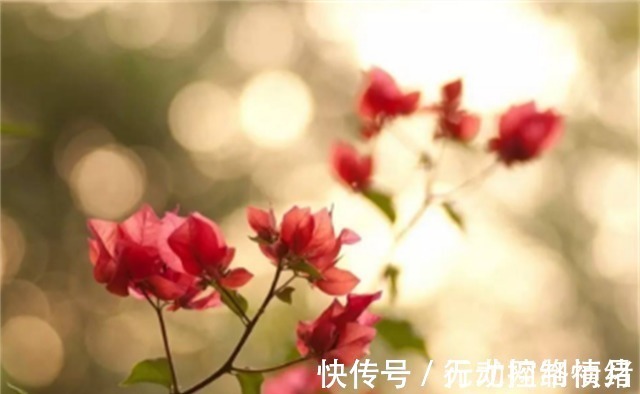 中国历史#徐志摩逝世一年后,林徽因满怀悲痛写下首凄美之作,开篇美到结尾