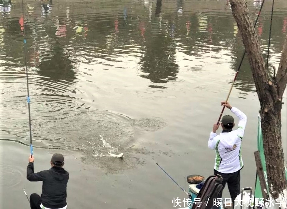 翻倍|怎样才能钓到大鱼？通过三方面去守钓，渔获量翻倍